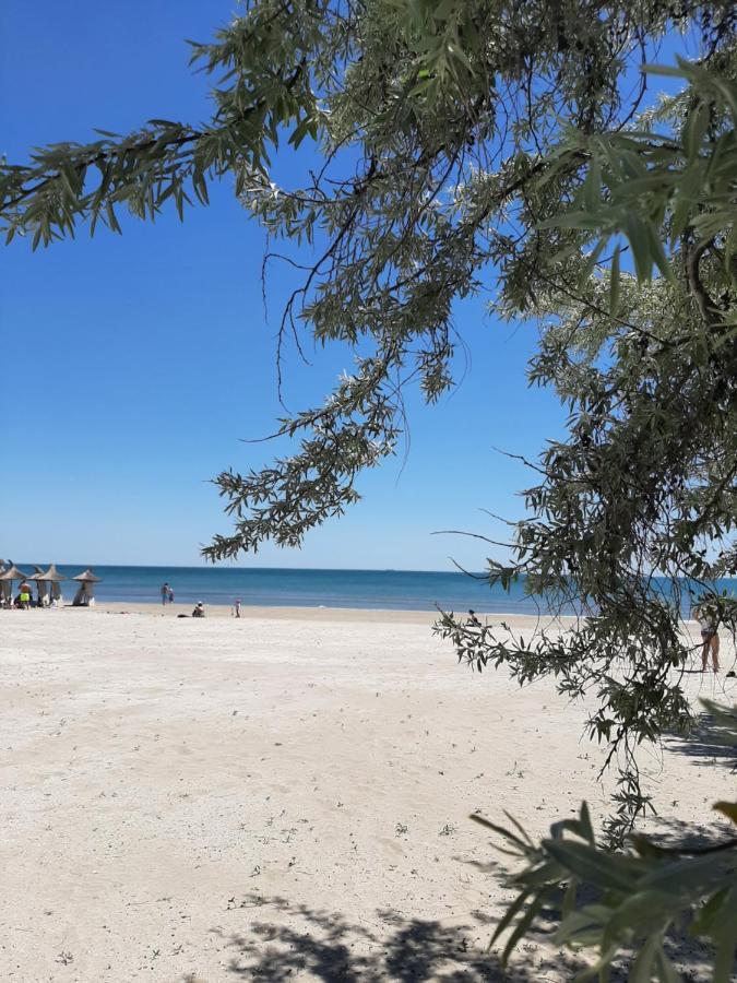 Eka Studio - Pool & Spa Beach Resort Năvodari Zewnętrze zdjęcie